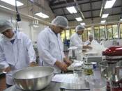 procesamiento alimentos